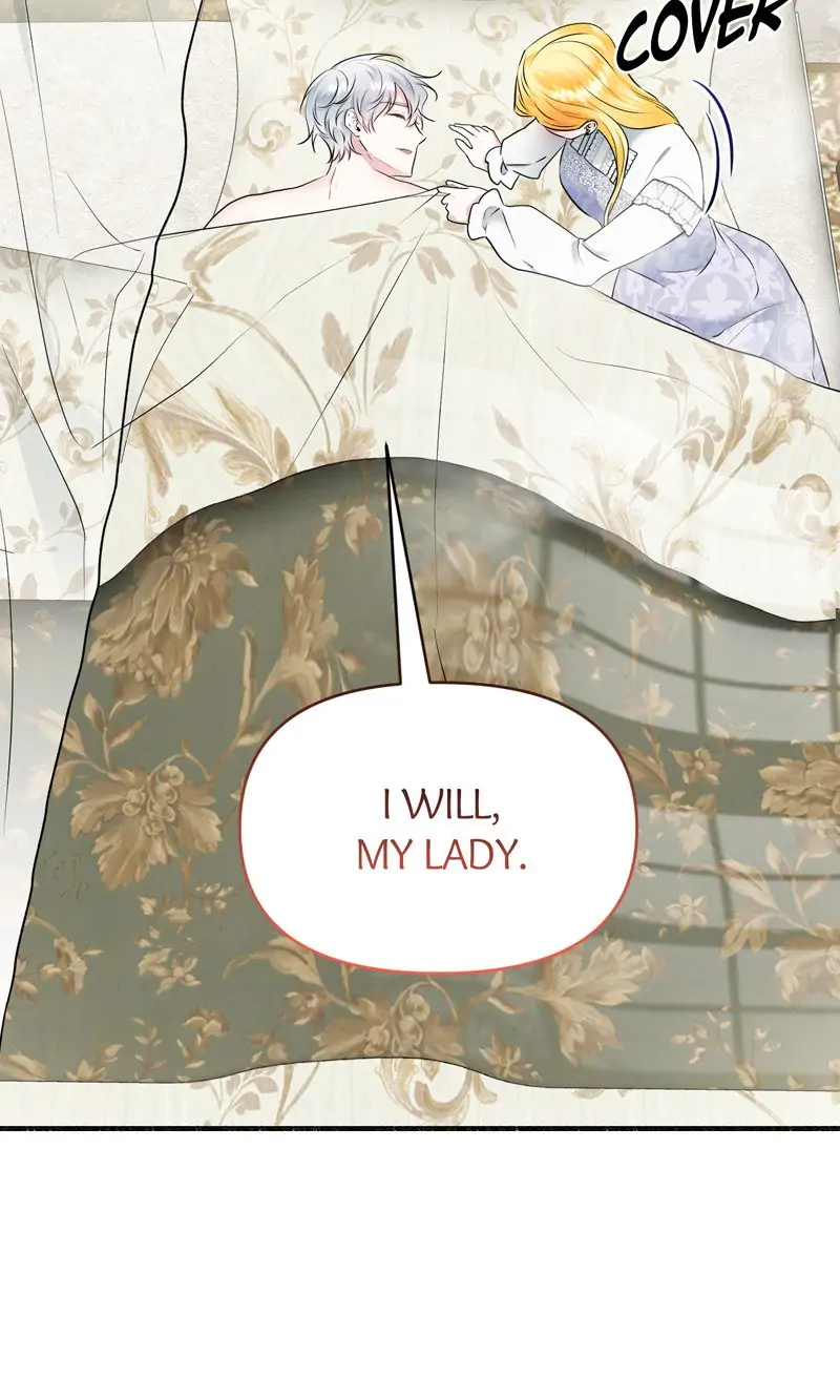 33488023 800 1333 65678