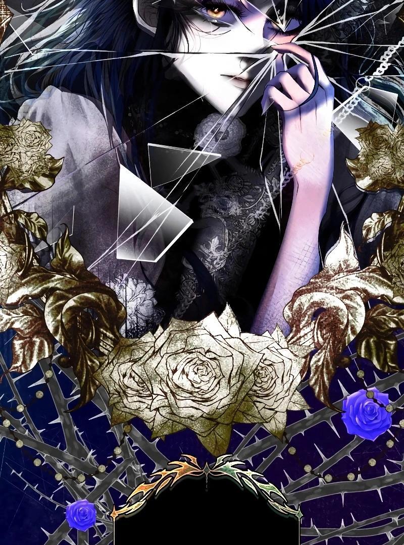 74288192 800 1080 220970